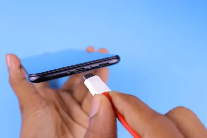 Casino Dogs Fortune Farsímaforrit